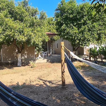 Orange Beach Camp Beldibi  Bagian luar foto